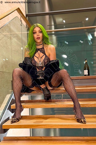 Foto Kika Doncato  Transescort Verona